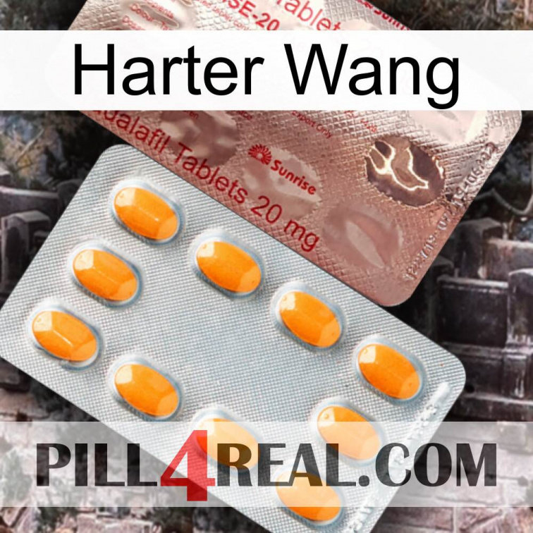 Hard Wang new13